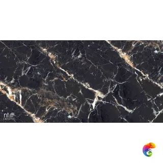 Black Lamos High Gloss 60x120 NTT99529P