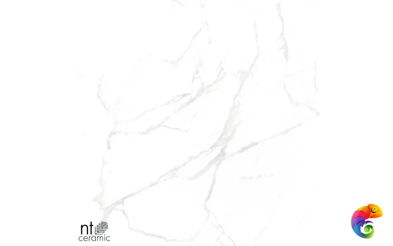 Керамогранит NTT99607M Callacata carving 60x120