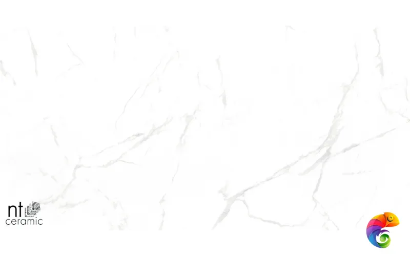 Керамогранит NTT99607M Callacata carving 60x120