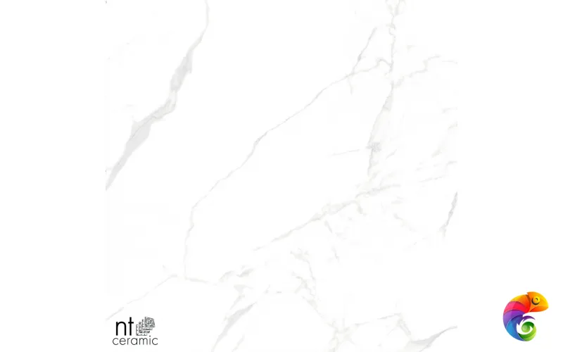Керамогранит NTT99607M Callacata carving 60x120