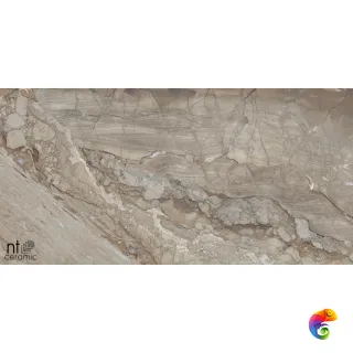 Gravel Natural 60x120 NTT99509P