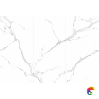 Bianco Carrara 120x240 NTT3004P