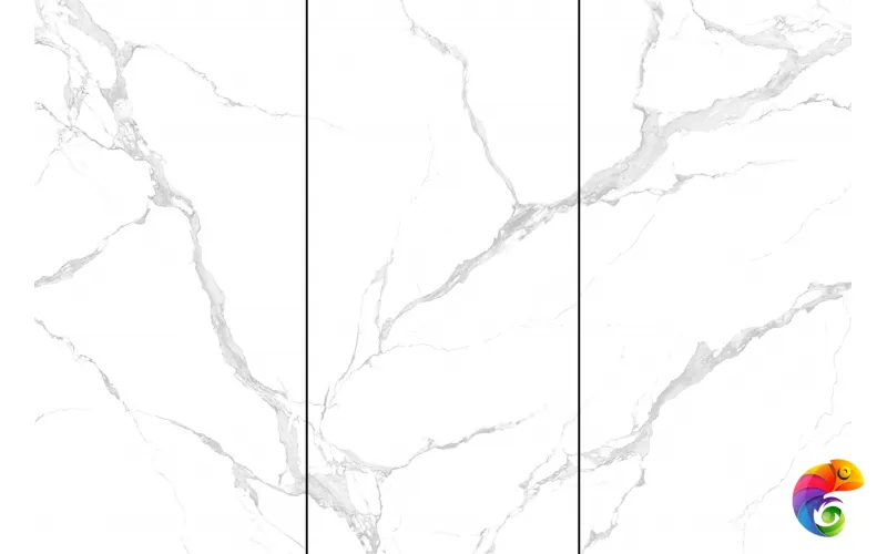 Керамогранит NTT3004P Bianco Carrara 120x240