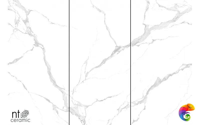 Керамогранит NTT3004P Bianco Carrara 120x240