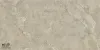 NTT9021 30x60 NS36NTT9021L