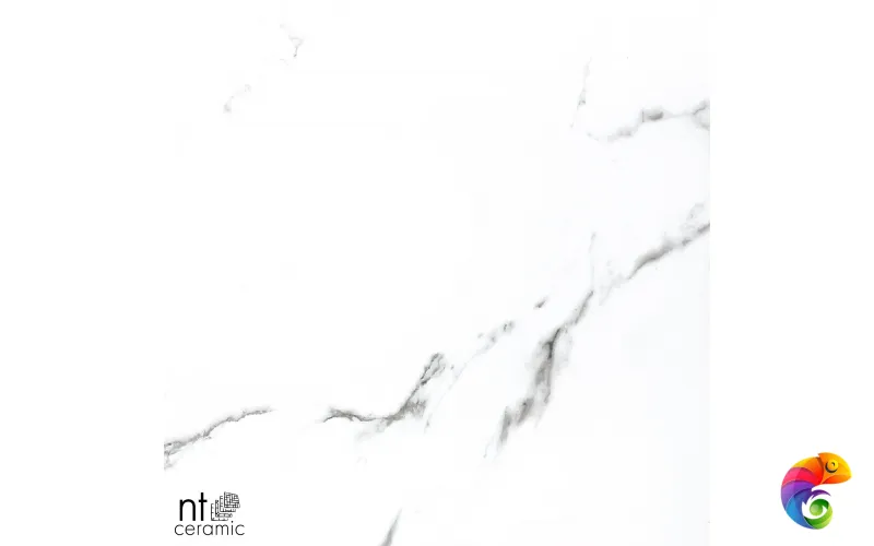 Керамогранит BB6NTT9100P NTT9100 60x60