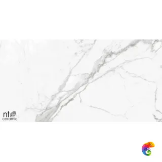 NTT9100 60x60 BB6NTT9100P