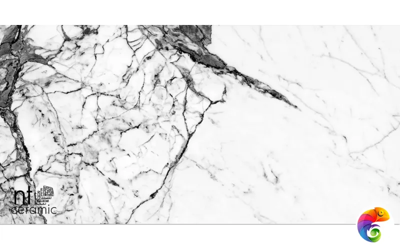 Керамогранит NTT9111P NTT9111P Marble Grey 60x120