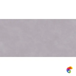 SKETCH ART DUST MATT 60x120 NTTVL99817M
