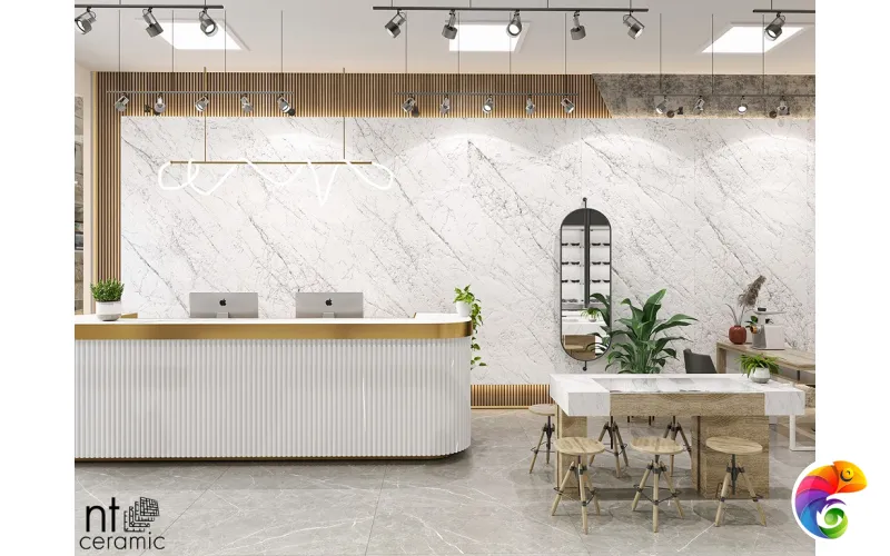 Керамогранит NTT3602C Carrara Elite 120x280