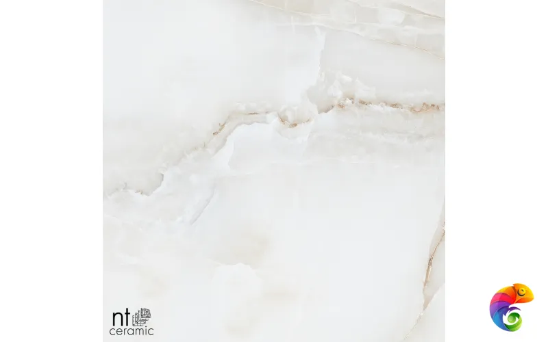 Керамогранит NTT995030P Onyx Majestic 60x60