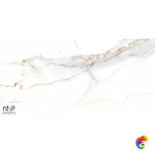 Miami Natural 60x120 NTT99500P