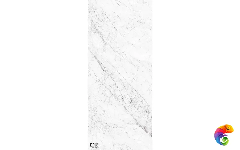 Керамогранит NTT3602C Carrara Elite 120x280