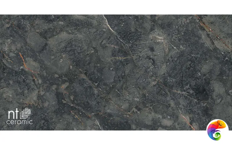 Керамогранит NTT9114 Cosmic black 60x120