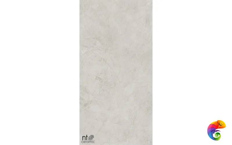 Керамогранит NTT99612L Granite Obelisk Ash 60x120