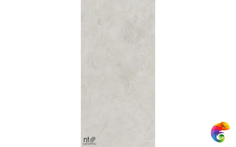 Керамогранит NTT99612L Granite Obelisk Ash 60x120