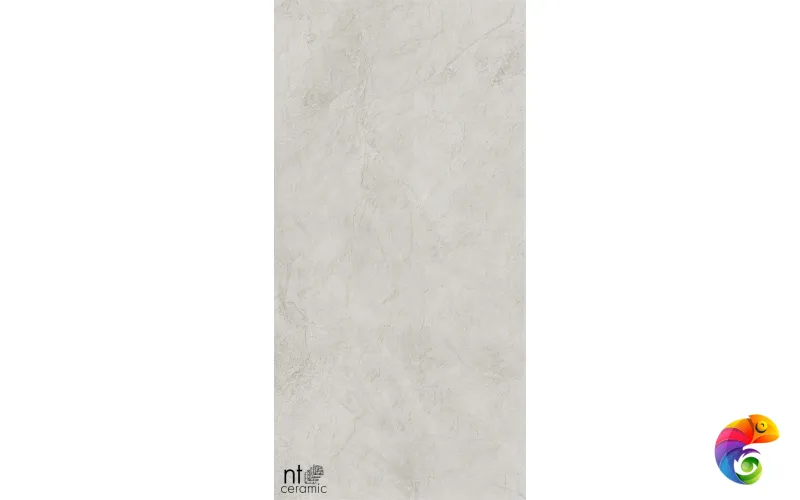 Керамогранит NTT99612L Granite Obelisk Ash 60x120