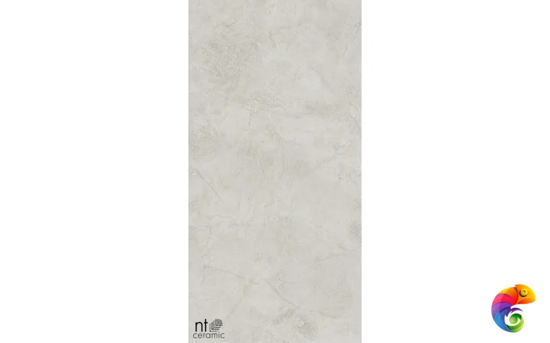 Керамогранит NTT99612L Granite Obelisk Ash 60x120