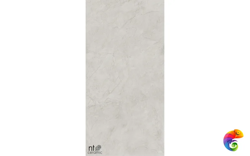 Керамогранит NTT99612L Granite Obelisk Ash 60x120