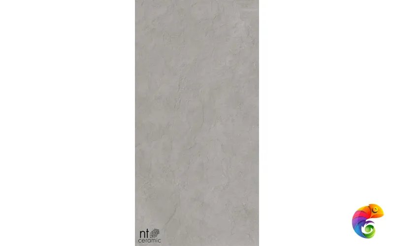 Керамогранит NTT99614L Granite Obelisk Grey 60x120