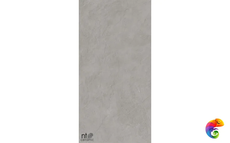 Керамогранит NTT99614L Granite Obelisk Grey 60x120