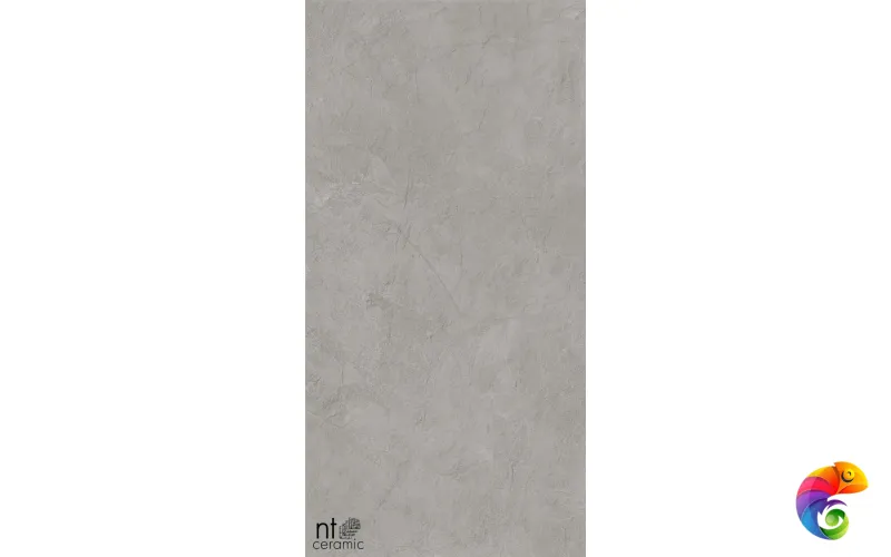 Керамогранит NTT99614L Granite Obelisk Grey 60x120