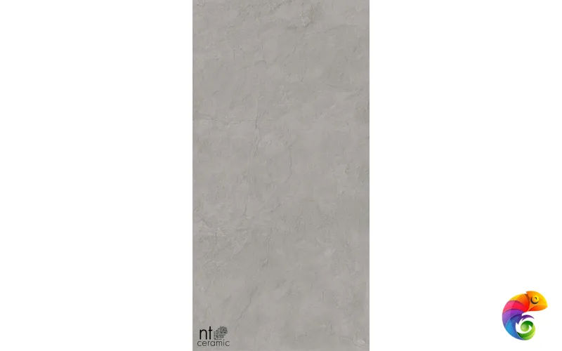 Керамогранит NTT99614L Granite Obelisk Grey 60x120
