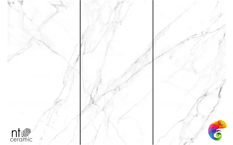 Керамогранит NTT3506L Calacatta Light 120x270