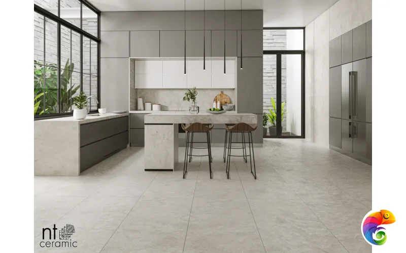 Керамогранит NTT99612L Granite Obelisk Ash 60x120