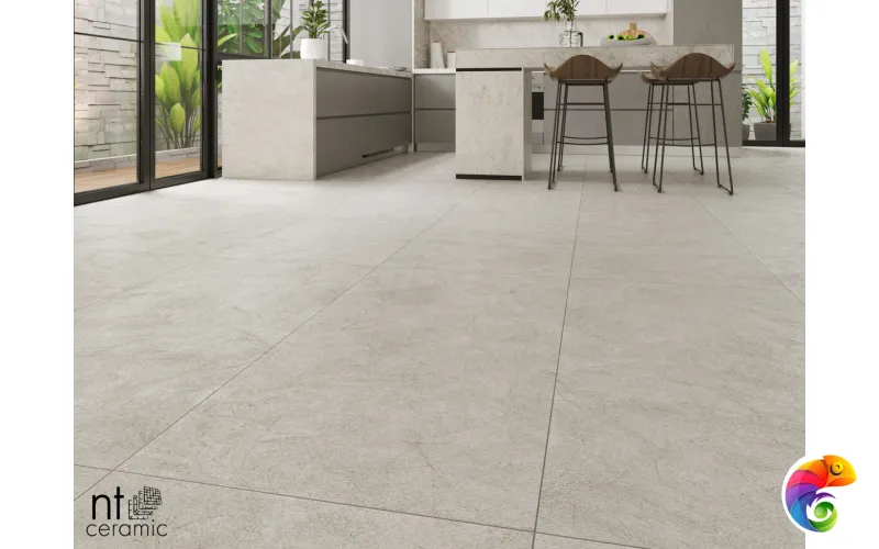 Керамогранит NTT99612L Granite Obelisk Ash 60x120