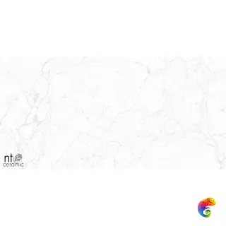 Impero Carving 60x120 NTT99518M