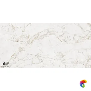 Impero Grey Carving 60x120 NTT99519M
