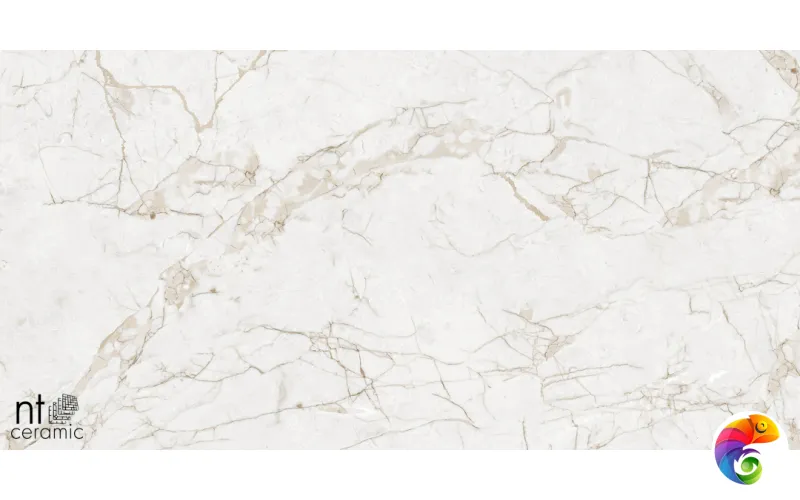 Керамогранит NTT99519M Impero Grey Carving 60x120