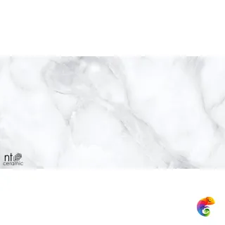 Onyx Smoke Carving 60x120 NT99524C