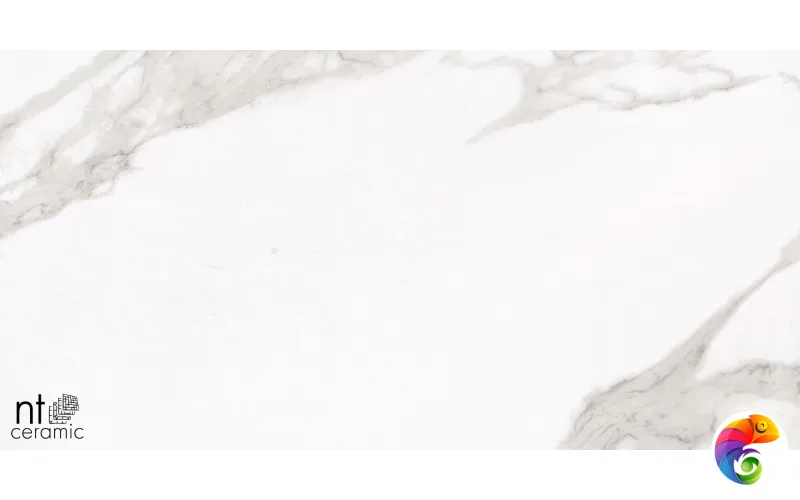 Керамогранит ML612NTT1001P NTT1001 60x120