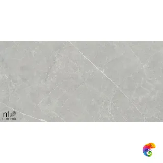 NTT1101 60x120 PT612NTT1101L