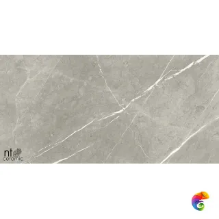 NTT9102 60x120 BB612NTT9102P