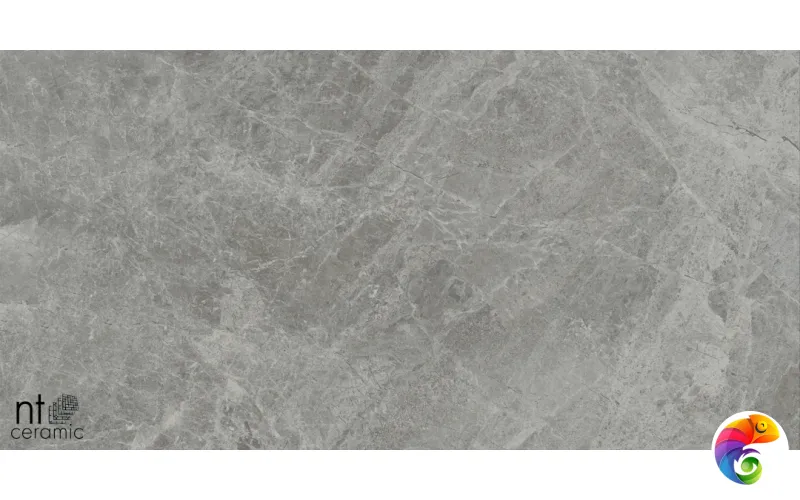 Керамогранит NTT9119M NTT9119M Tundra Grey mat 60x120