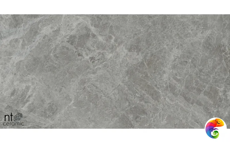 Керамогранит NTT9119M NTT9119M Tundra Grey mat 60x120