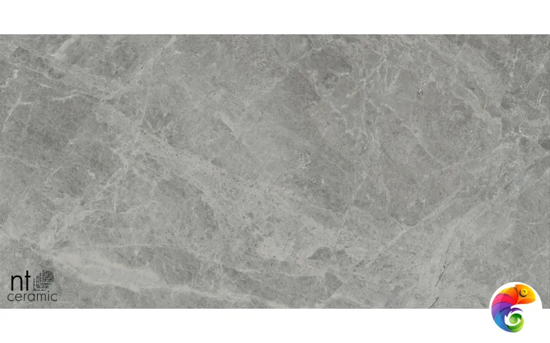 Керамогранит NTT9119M NTT9119M Tundra Grey mat 60x120