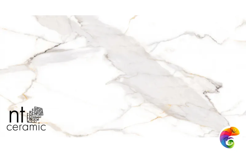 Керамогранит NTT9120M NTT9120M Calacatta Light Grey mat 60x120