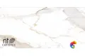 Керамогранит NTT9120M NTT9120M Calacatta Light Grey mat 60x120