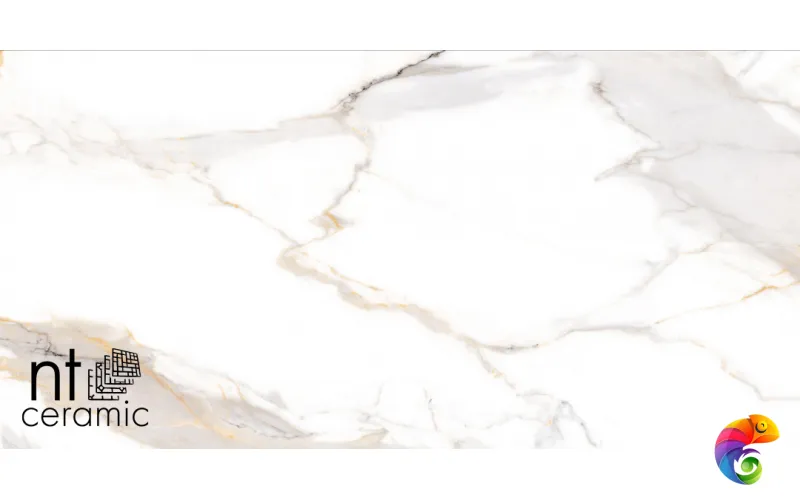 Керамогранит NTT9120M NTT9120M Calacatta Light Grey mat 60x120
