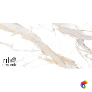 NTT9120M Calacatta Light Grey mat 60x120 NTT9120M