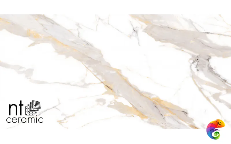 Керамогранит NTT9120M NTT9120M Calacatta Light Grey mat 60x120