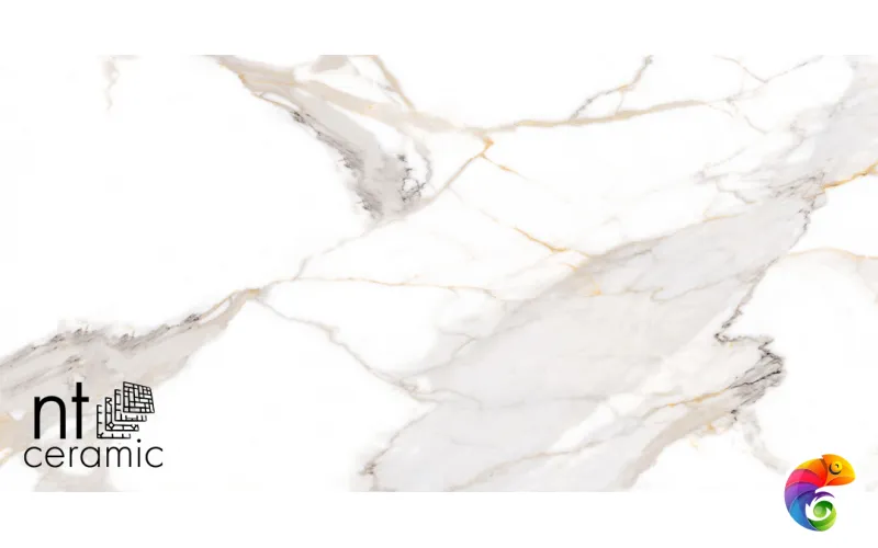 Керамогранит NTT9120M NTT9120M Calacatta Light Grey mat 60x120