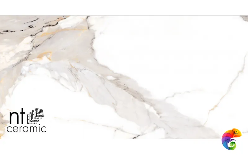 Керамогранит NTT9120M NTT9120M Calacatta Light Grey mat 60x120