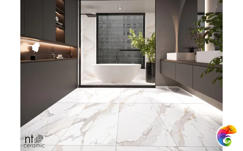 Керамогранит NTT9120M NTT9120M Calacatta Light Grey mat 60x120