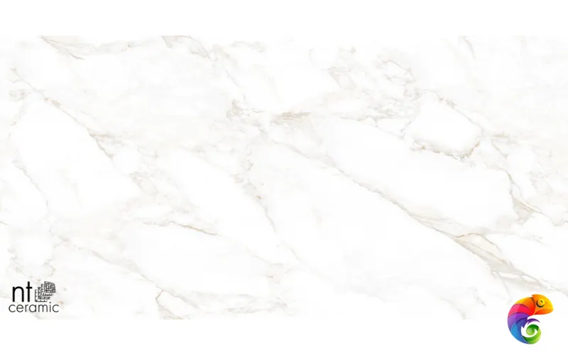 Керамогранит NTT99526M Marble Extra Endless 60x120