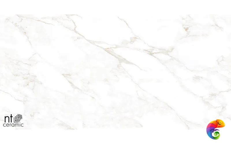 Керамогранит NTT99526M Marble Extra Endless 60x120